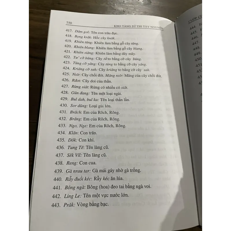 Sử  thi Mơ Nông Pit ôi lêng yrêng, Lêng kon ột Cướp chăn têng của rêng, Lêng con ốt 993214