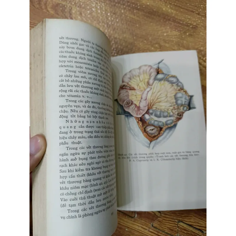 Ngoại khoa dã chiến 1009417