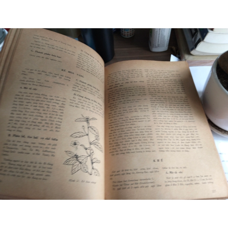 Cây thuốc và vị thuốc Việt Nam (Lương y Đỗ Tất Lợi, 1981) 508462