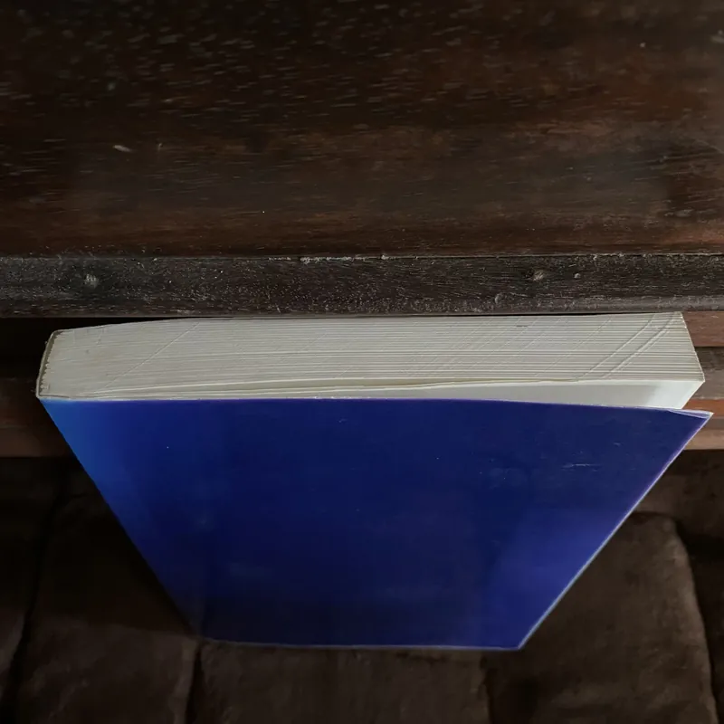 Du già bồ tát giới, Tuệ Sỹ 601328