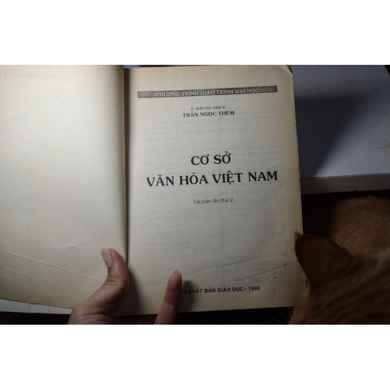 Cơ sở văn hoá Việt Nam 1999 - Trần Ngọc Thêm 465847