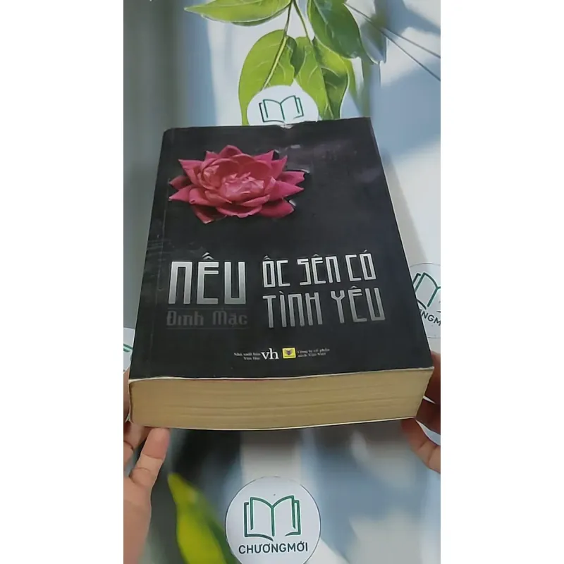 Nếu ốc sên có tình yêu - Đinh Mặc 688711