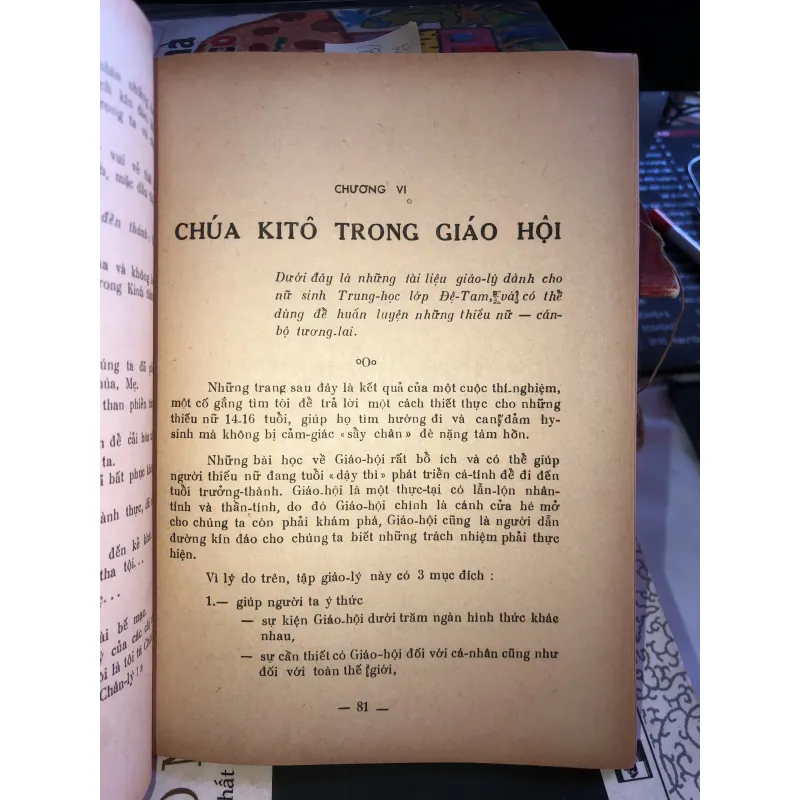 Chúa Kitô lý tưởng của chúng ta - Solange Chicault 1019367