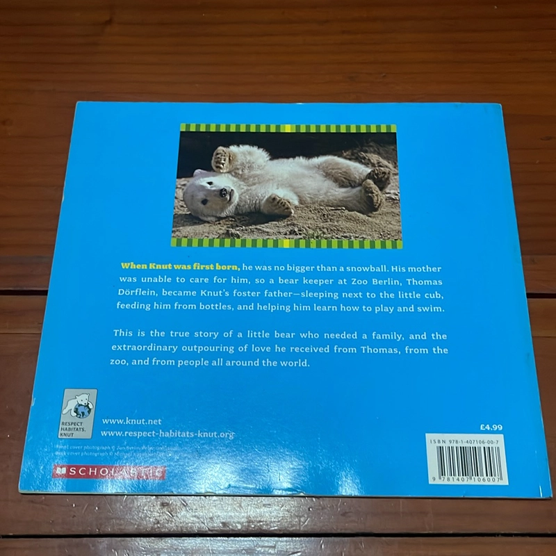 PICTURE BOOK Knut How one little polar bear captivated the world 536433