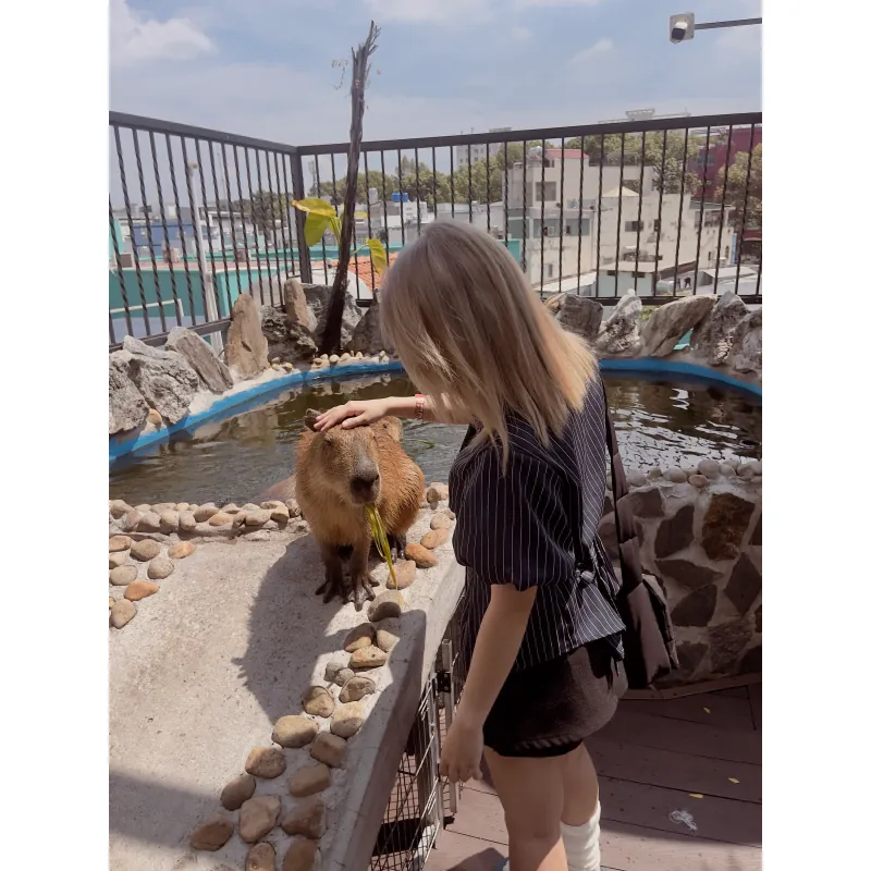 pass bộ này kèm cà vạt ạ 1009494