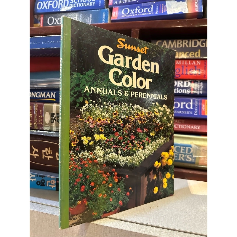Sunset Garden Color 999657