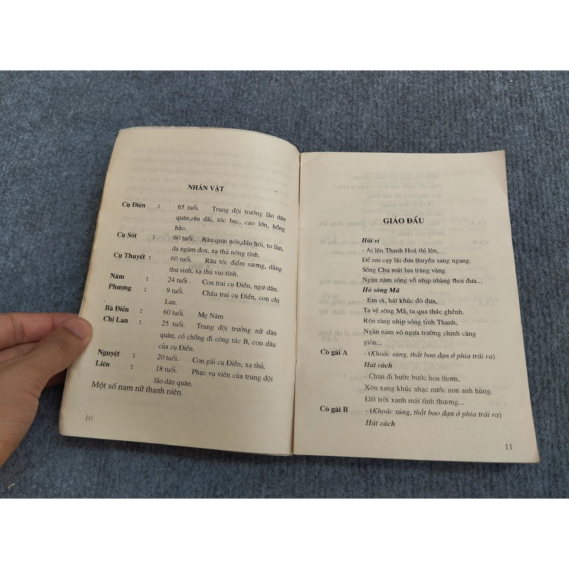 RỰC LỬA DIÊN HỒNG - MAI BÌNH 548224