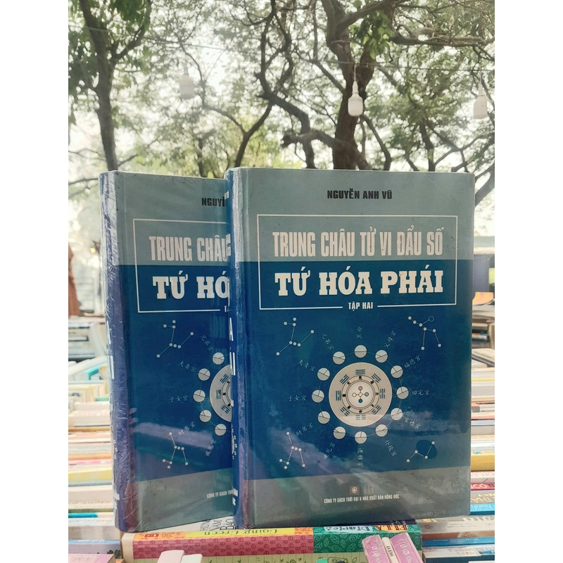 TRUNG CHÂU TỬ VI ĐẨU SỐ THỨ HÒA PHÁI 384799