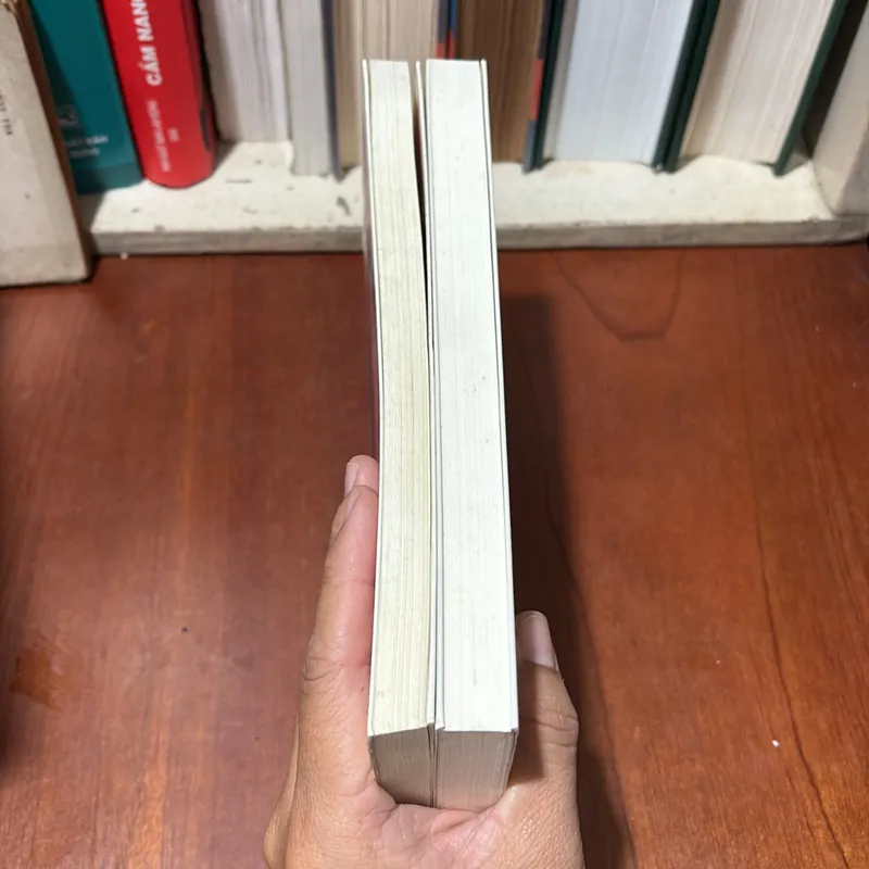 II Tủ Sách Khuê Văn _ Tự Lực Văn Đoàn: Nửa Chừng Xuân - Khái Hưng & Đoạn Tuyệt - Nhất Linh 721056