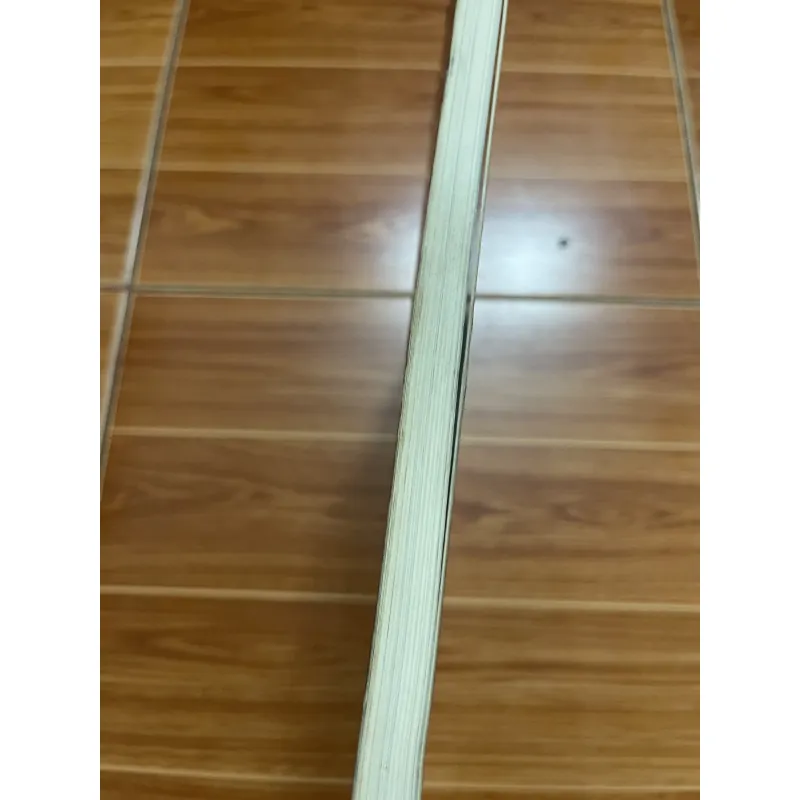 Roger Taillibert 1002994