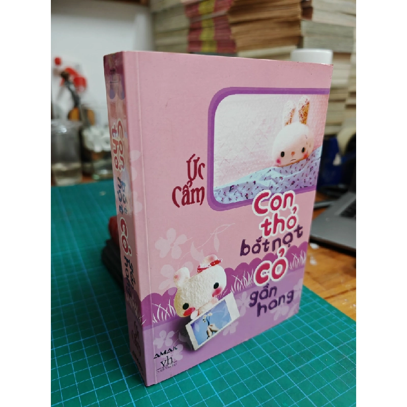 Con thỏ bắt nạt cỏ gần hang 494103