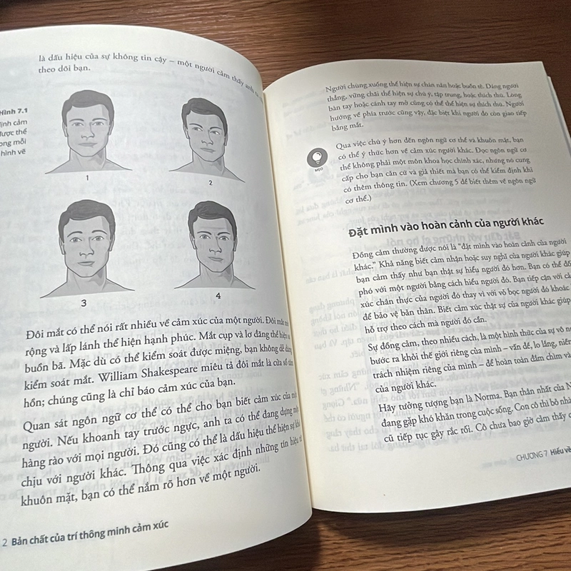 Trí thông minh cảm xúc dummies Steven J. Stein 357254