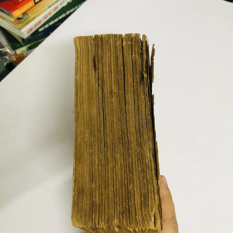 DƯỢC LIỆU VIỆT NAM 578106