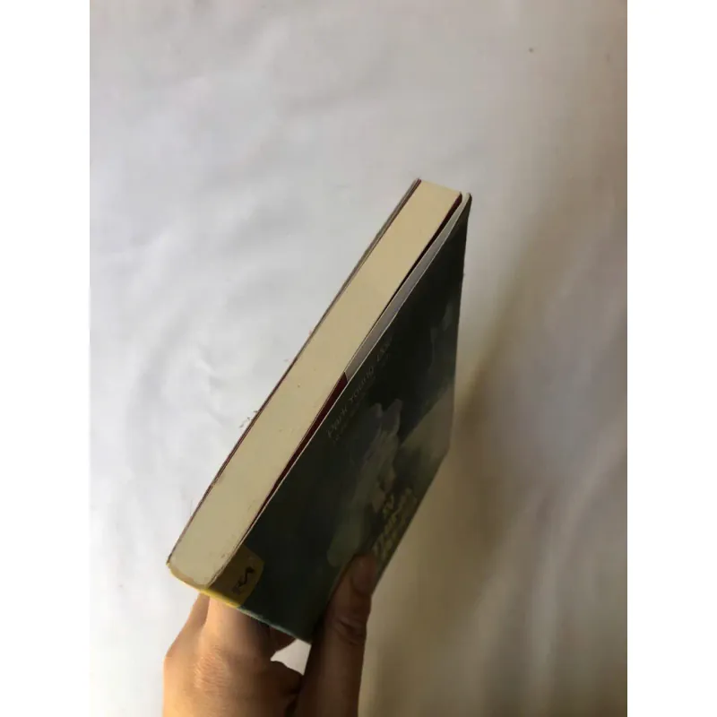 Sự Thinh Lặng - Park Young-Doo 739816