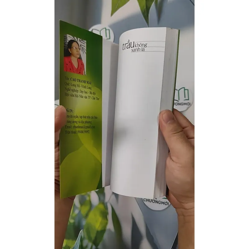 Trầu Không Xanh Lá - Cao Thanh Mai 798319