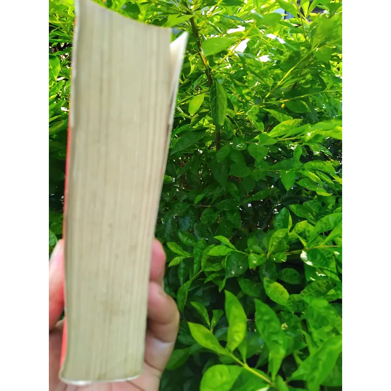 Đại cương triết học Trung Quốc  1032068