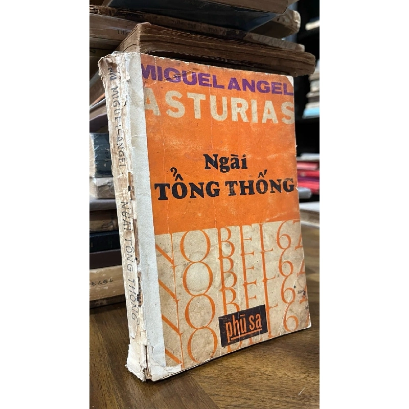 Ngài tổng tống - Miguel Angel 1045541