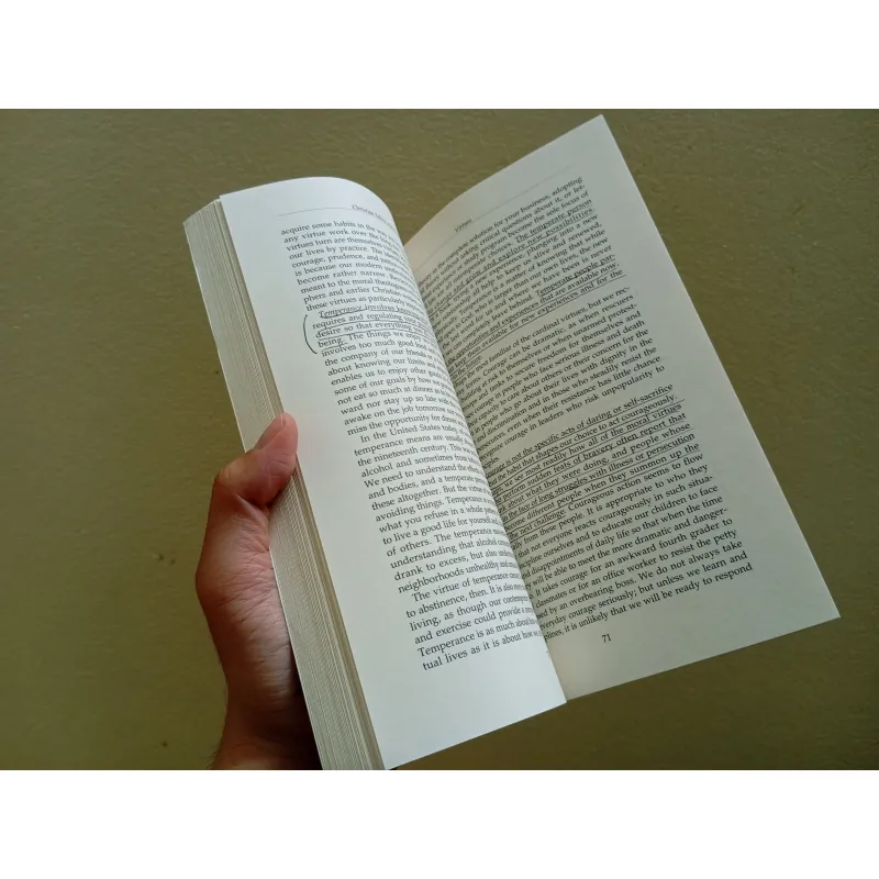 Christian ethics an essential guide, english book, sách tiếng Anh  994800