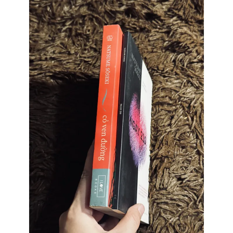 Combo 2c Natsume Soseki 1017667