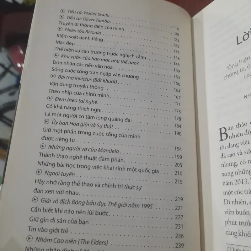 Daniel Smith - TƯ DUY NHƯ MANDELA 1002871