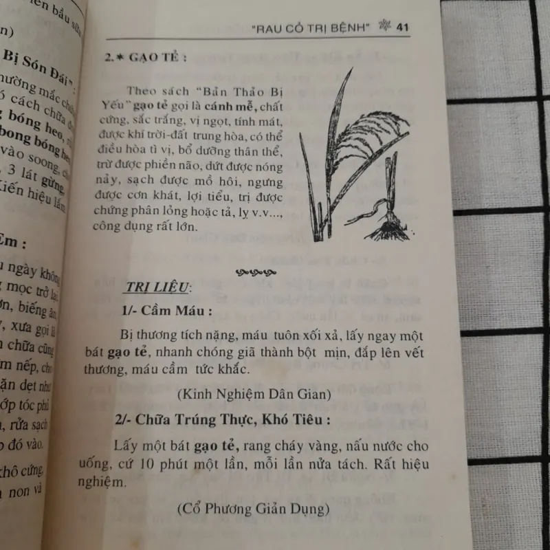 Rau cỏ trị bệnh. NHỮNG PHƯƠNG THUỐC HAY- MẸO VẶT ĐÔNG Y 704353
