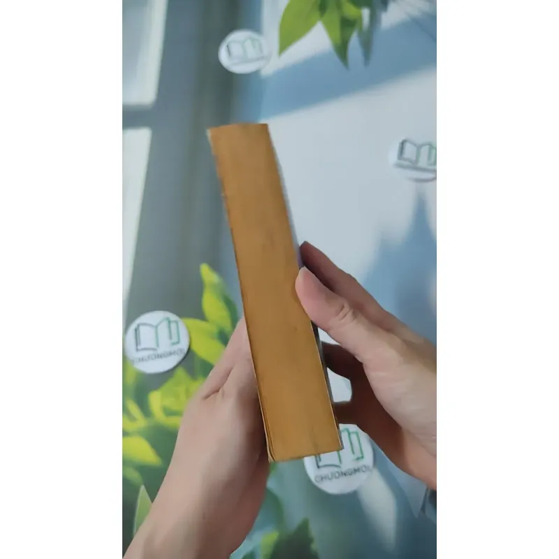 Sharpe's Triumph - Bernard Cornwell 1026748