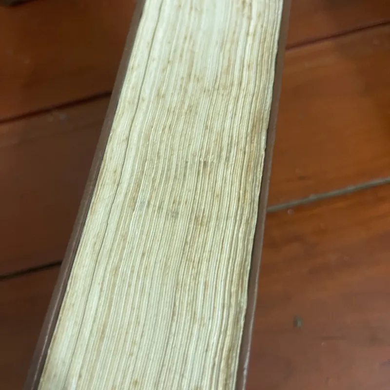 Tục tái sanh duyên Nguyễn Đỗ Mục 1024320