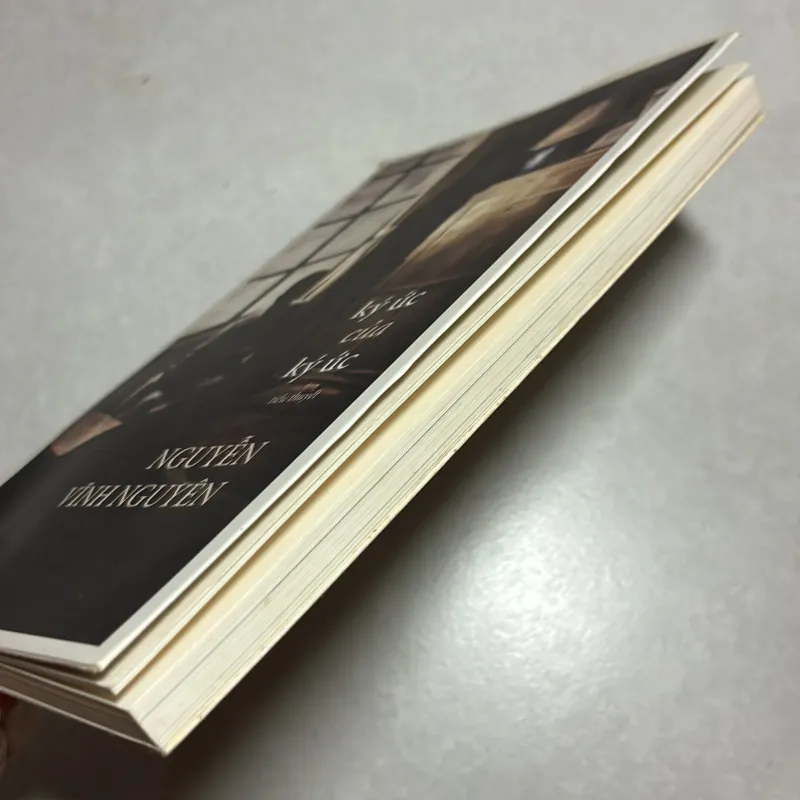 Ký ức của ký ức - Nguyễn Vĩnh Nguyên (t01) 777751