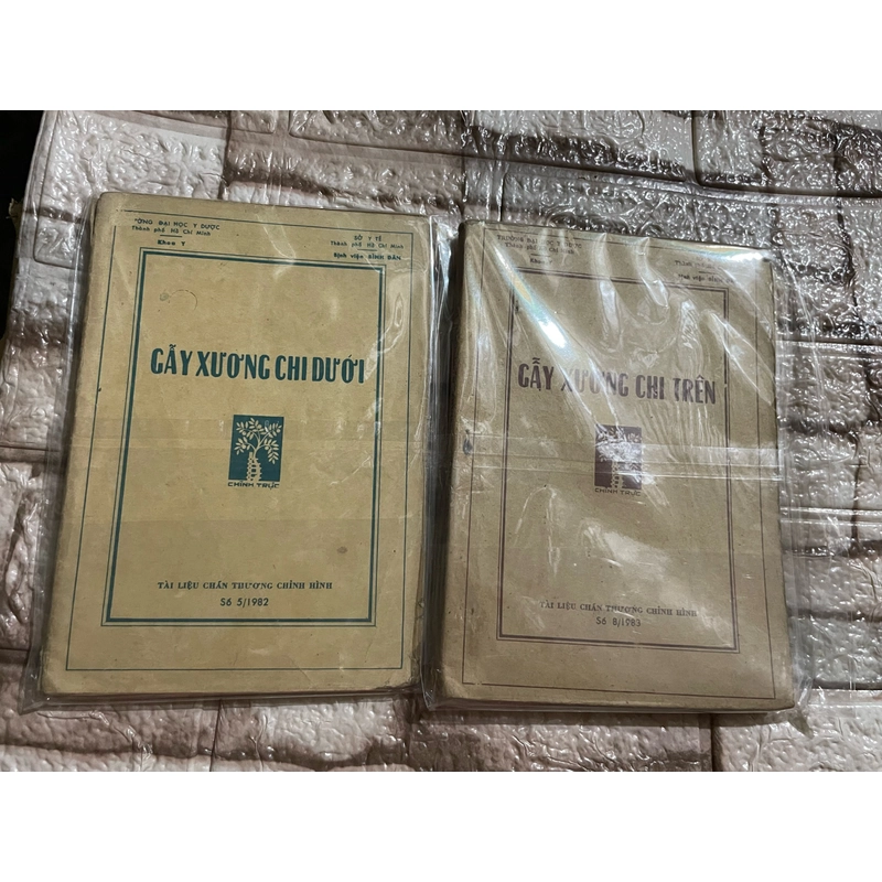 Gãy xương chi dưới, chi trên  462840