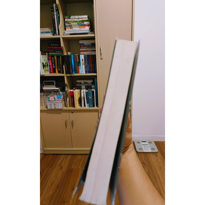Ảo Dạ - Higashino Keigo 445392
