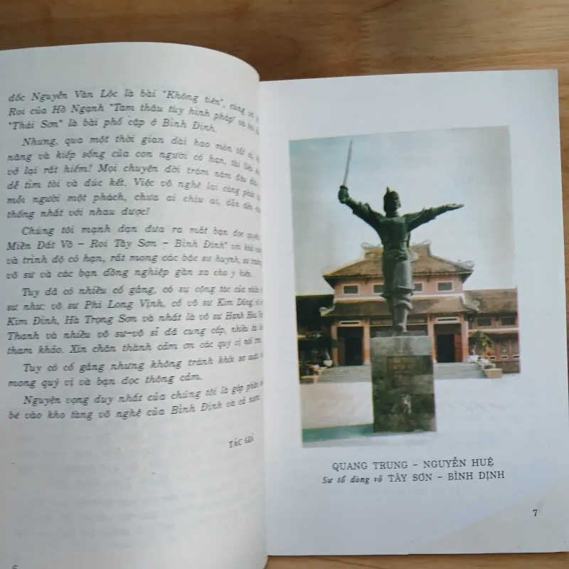 Miền Đất Võ - Roi Tây Sơn Bình Định (Lê Thì, Hạnh Hòa) 957054