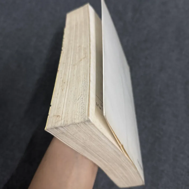 Bê trọc (CHỮ KÝ TÁC GIẢ) - Phạm Việt Long 995031