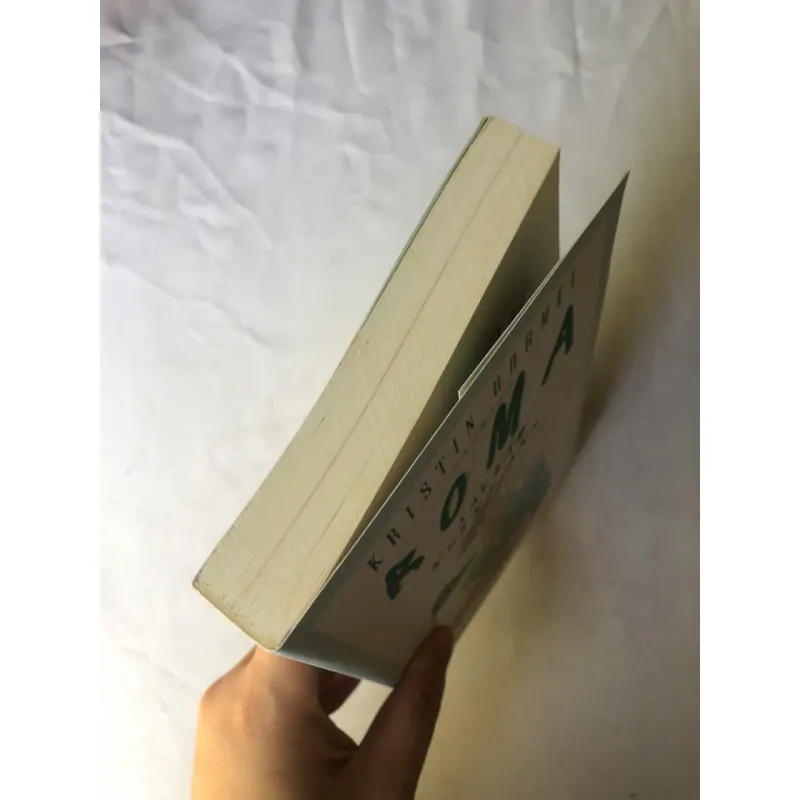 Roma Say Đắm Không Anh - Kristin Harmel 1002713