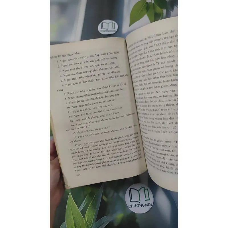 Hồi Dương Nhơn Quả 1018902