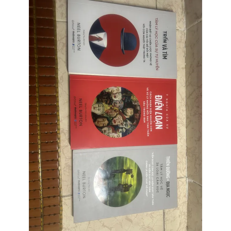 Combo 3 cuốn Neel Burton - Trốn và tìm + Thiên đường và địa ngục + Ý nghĩa của sự điên  788340