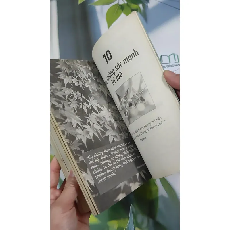 Dám Thành Công - Jack Canfield & Mark Victor Hansen 787105