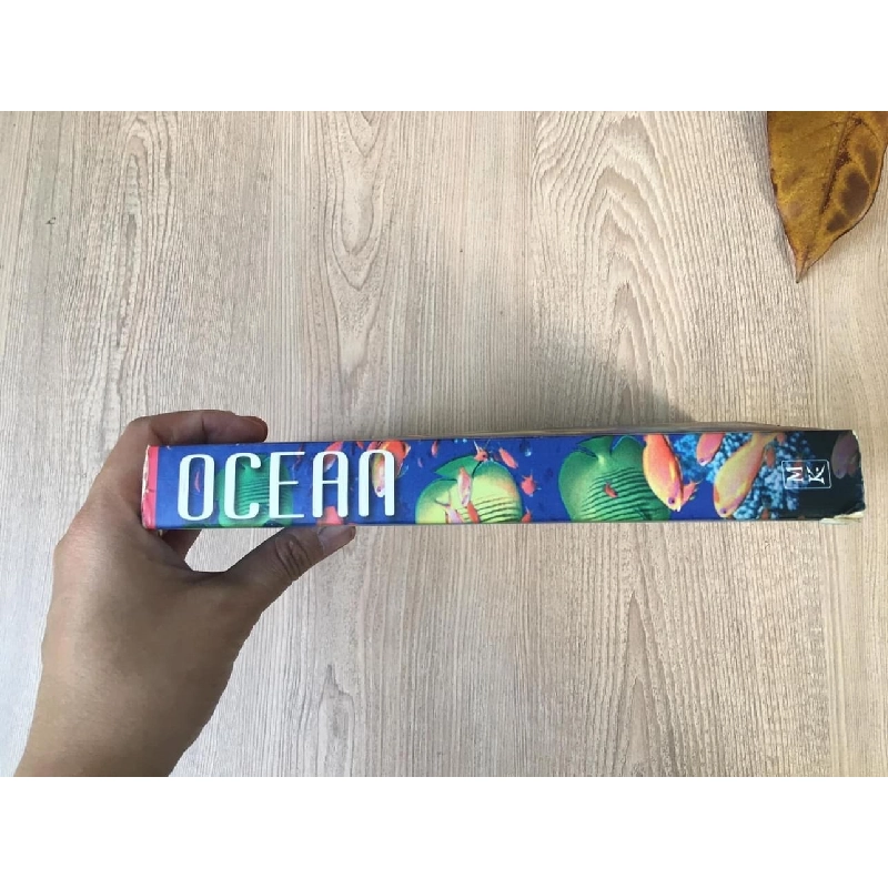 OCEAN bìa cứng mới 90% OSB2810 912483