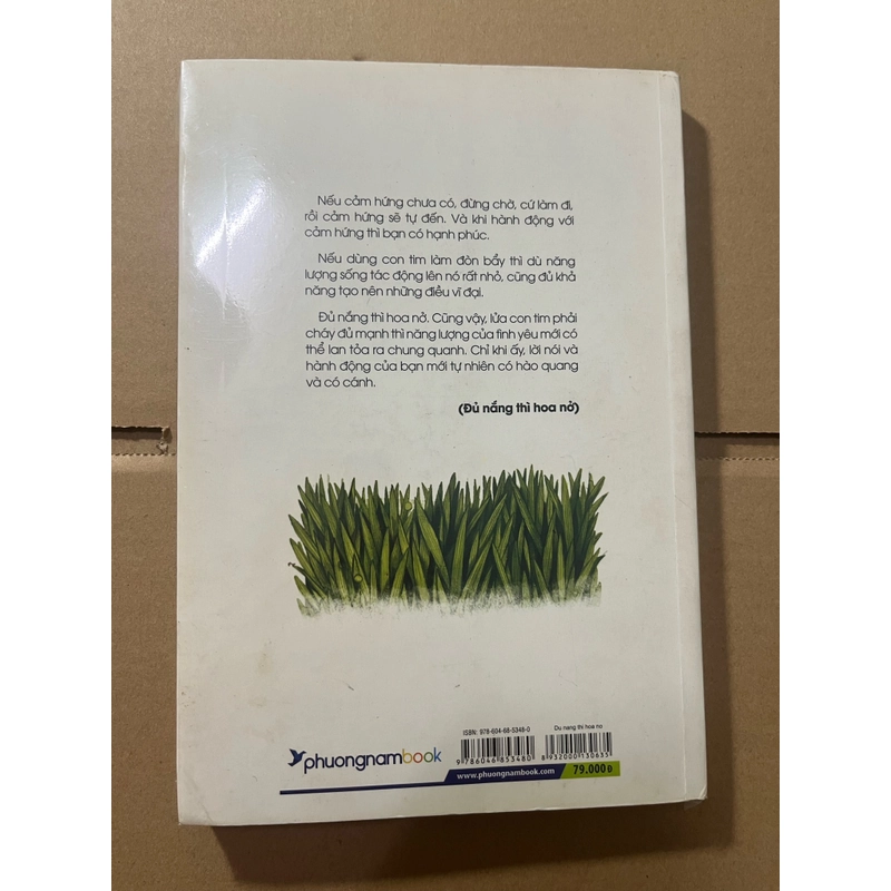 Đủ nắng thì hoa nở 524384