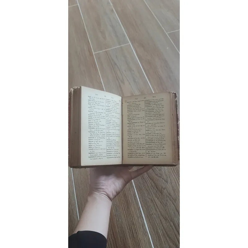 Từ Điển Pháp Việt - Việt Pháp 👣 688328