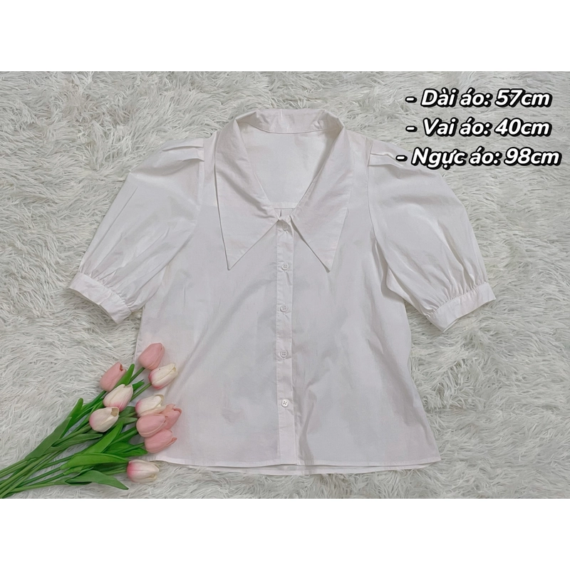 Áo sơ mi trắng ngắn tay mới 80% 532319