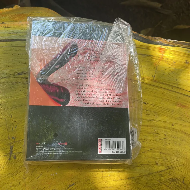 MỘNG PHÙ DU (3) - CANDACE BUSHNELL 707457