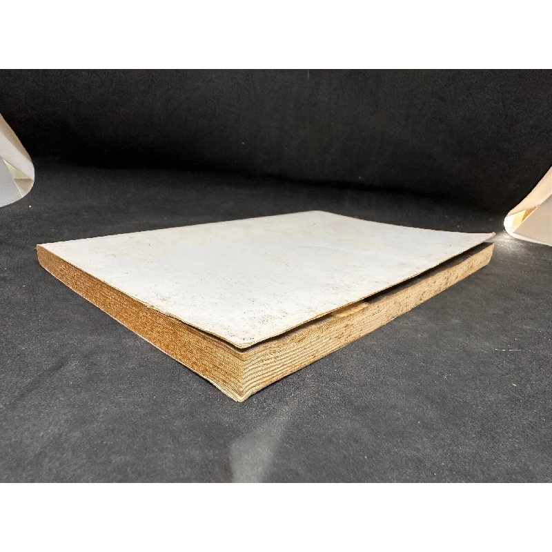 [Phiên Chợ Sách Cũ] Đảo, Mới 80% (ố vàng), 2014 - Nguyễn Ngọc Tư H1004-SBM 1018024