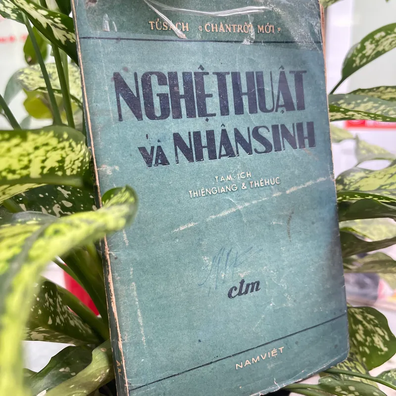 Nghệ thuật và nhân sinh 703403
