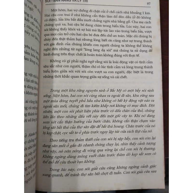 PHÉP TẮC CỦA LOÀI SÓI - LIỆT PHU, MINH TÂN 994603