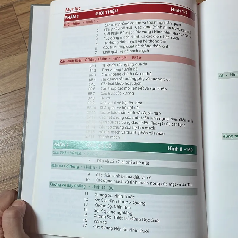 Sách Atlas giải phẫu người  675296