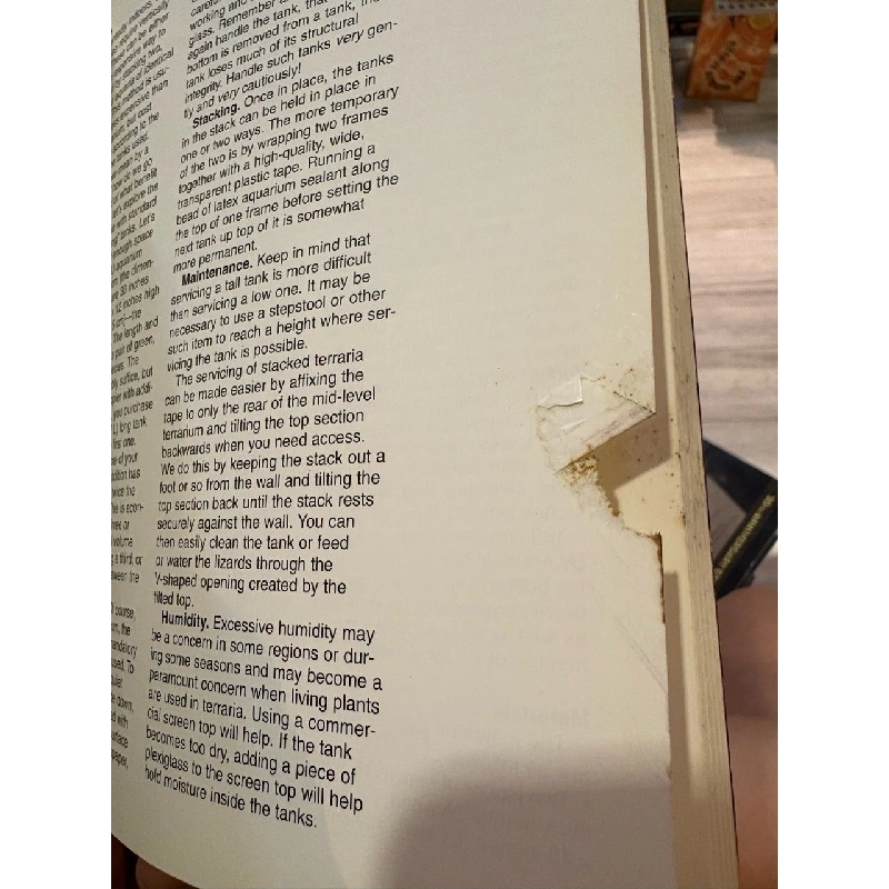 Anoles , Basilisks , and water dragons - Bartlett and Bartlett 1003465