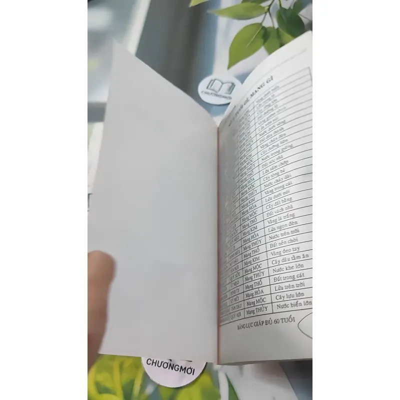 Căn Duyên Tiền Định 727287