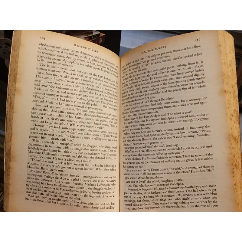 Madame Bovary - Gustave Flauberta 519132
