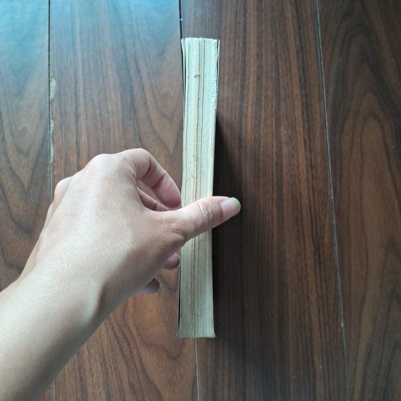 Một ngày không nói dối  502228