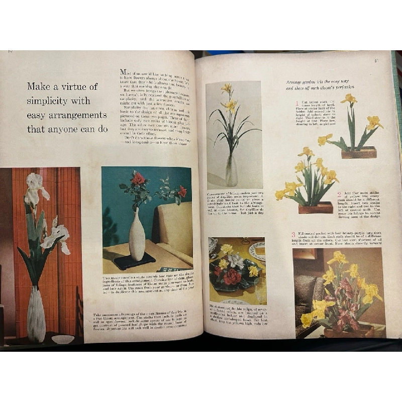 Flower Arranging 999622